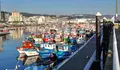  O BNG da Barbanza propón medidas para liderar unha saída “xusta” para o sector do mar afectado polo coronavirus
