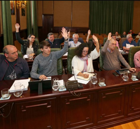 Pleno Ribeira. Carmela Queijeiro. La Voz de Galicia 4