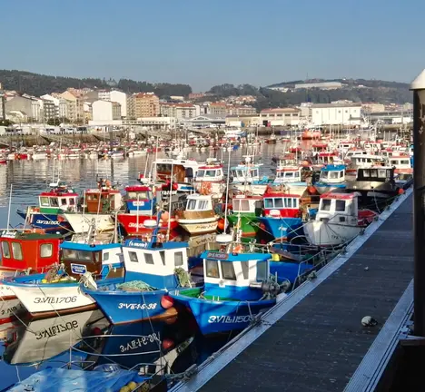 porto de ribeira